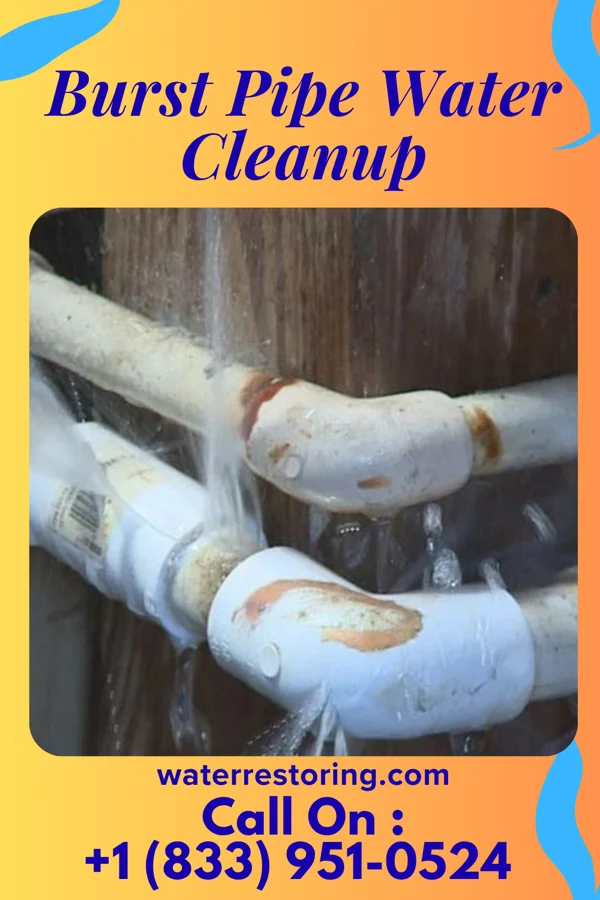 Burst Pipe Water Cleanup in Berlin, NJ
