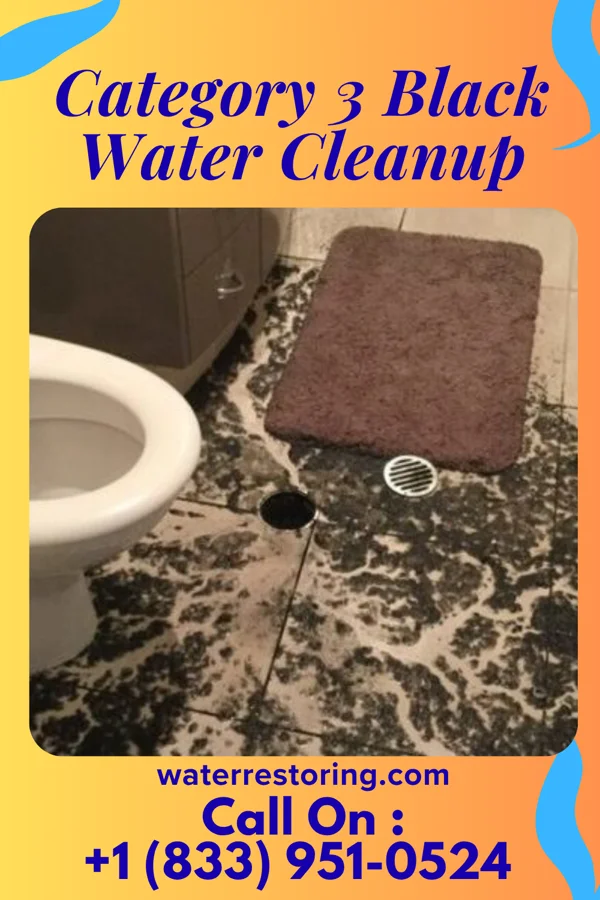 Category 3 Black Water Cleanup in Berlin, NJ