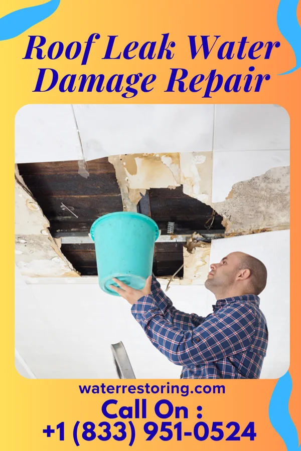 Roof Leak Water Damage Repair in Berlin, NJ