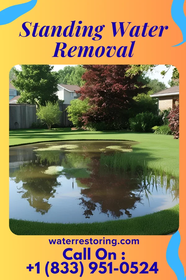 Standing Water Removal in Berlin, NJ